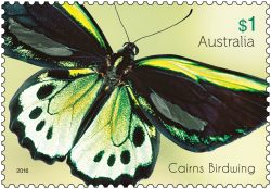 $1 Beautiful Butterflies - Cairns Birdwing stamp 2016. * Only to be reproduced with the perforations included.