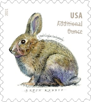 Brush Rabbits stamp