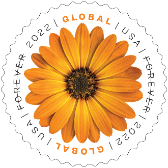 African Daisy Global stamp