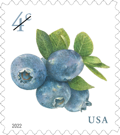 New Blueberries Stamp