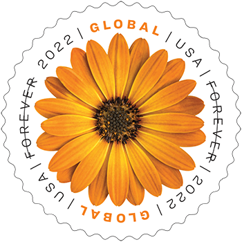 African Daisy Global Forever Stamp