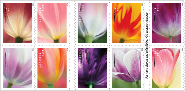 Tulip Blossoms stamps